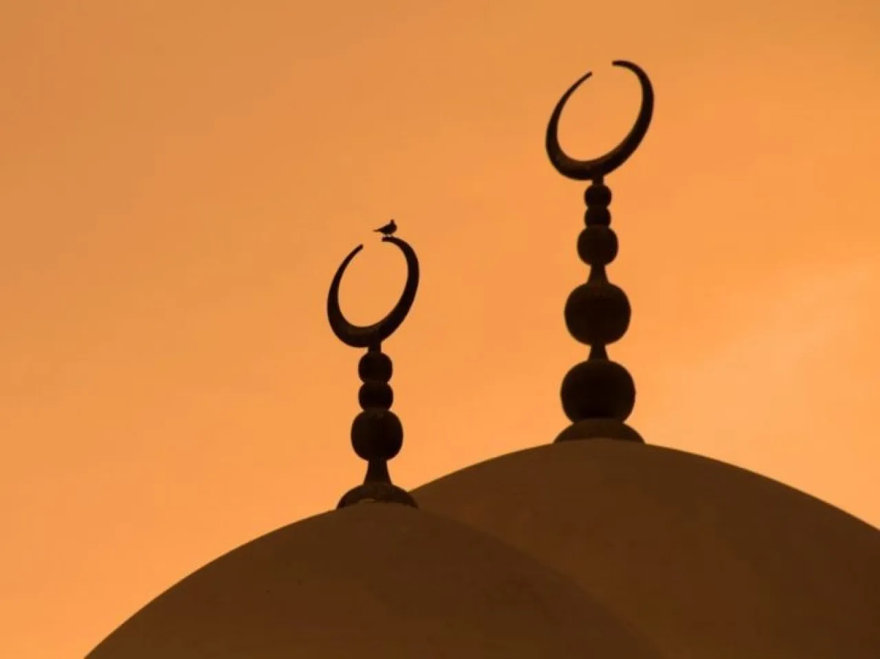 مدعوون للمقابلة لوظيفة مؤذن وخادم مسجد - اسماء ومواعيد