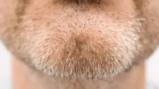 لماذا الإنسان هو الكائن الوحيد الذي يمتلك ذقناً؟