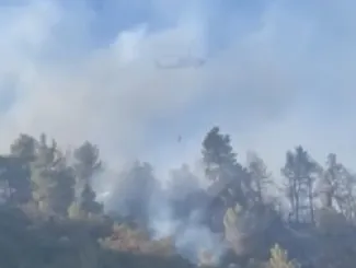 حريق حرجـي في جرش والدفاع المدني يتدخل بإسناد جوي