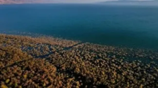 جفاف بحيرة طبريا: حين تتداخل تغيّرات المناخ بالنبوءات