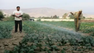 اعتراض على طريقة توزيع المياه للمزارعين في الأغوار الشمالية - فيديو